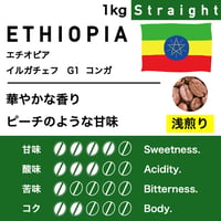 1kg【浅煎り】エチオピア　イルガチェフG1  コンガ