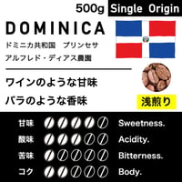500g【浅煎り】ドミニカ共和国　アルフレド・ディアス農園