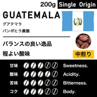 200g【中煎り】グアテマラ　パンポヒラ農園