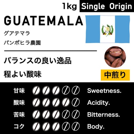 1kg【中煎り】グアテマラ　パンポヒラ農園