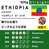 500g【浅煎り】エチオピア　イルガチェフG1  コンガ