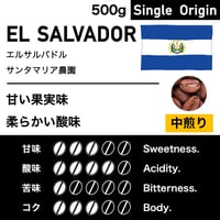 500g【中煎り】エルサルバドル　サンタマリア農園