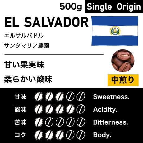 500g【中煎り】エルサルバドル　サンタマリア農園