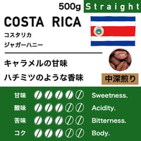 500g【中深煎り】コスタリカ　ジャガーハニー