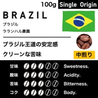 100g【中煎り】ブラジル　ラランハル農園