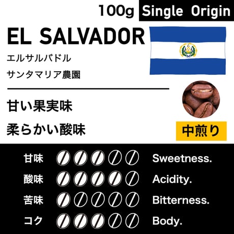 100g【中煎り】エルサルバドル　サンタマリア農園
