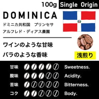 100g【浅煎り】ドミニカ共和国　アルフレド・ディアス農園