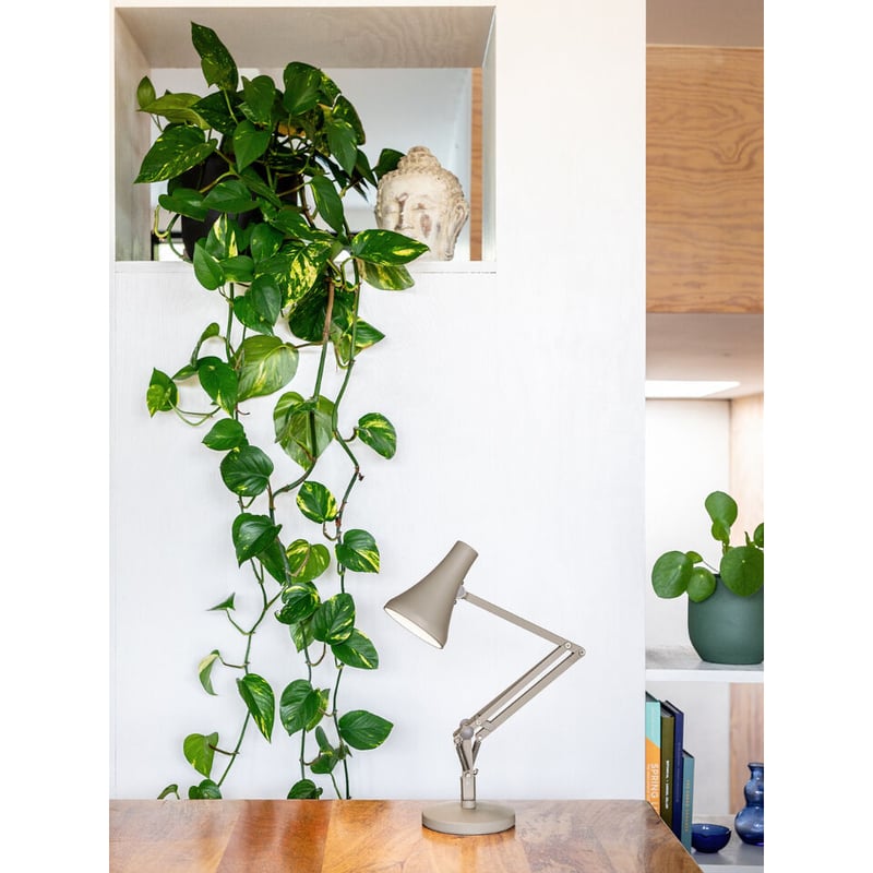 ANGLEPOISE | 90 MINI MINI | Lynnbelys
