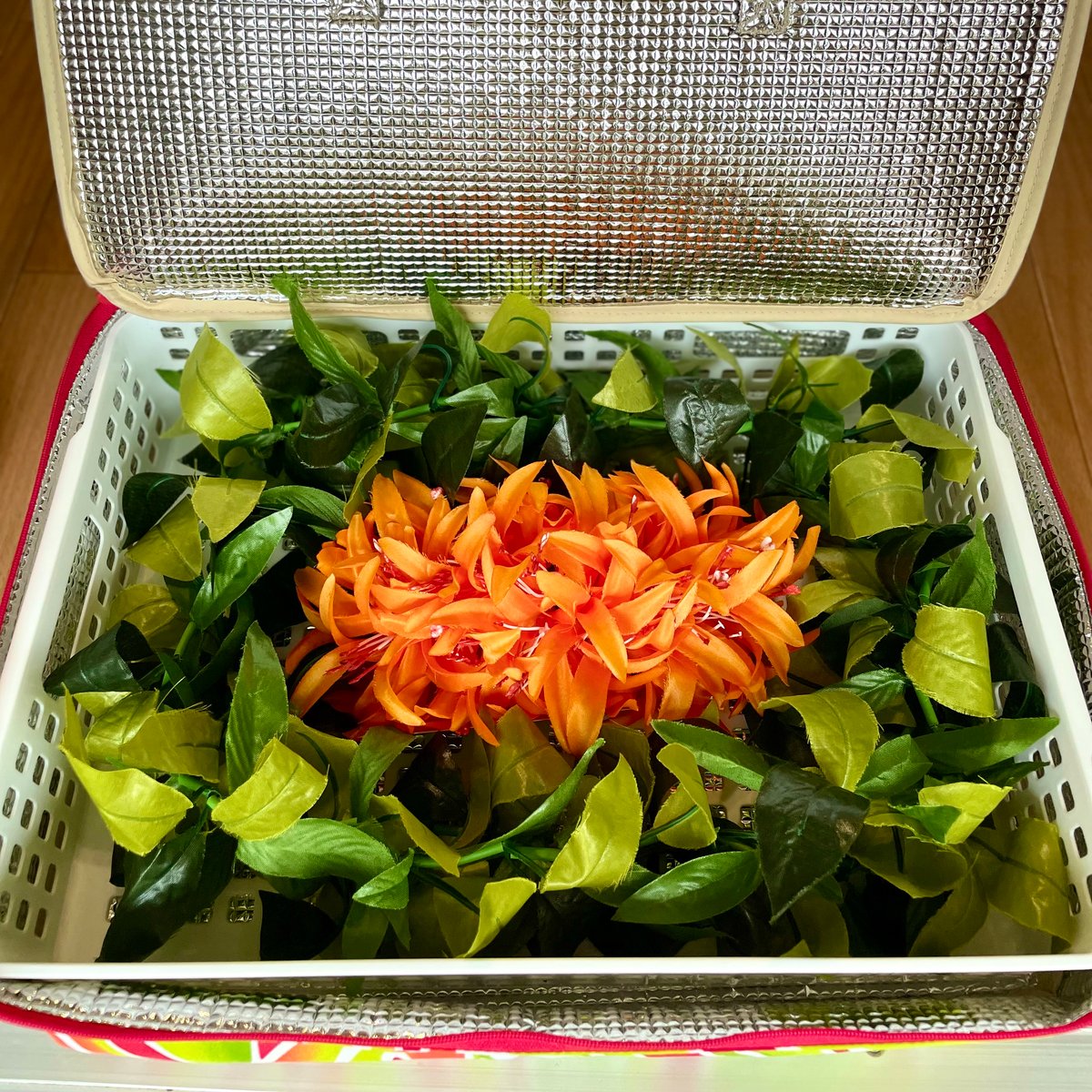 レイケース】保冷仕様♪生花 レイケース＊モンステラ(ピンク