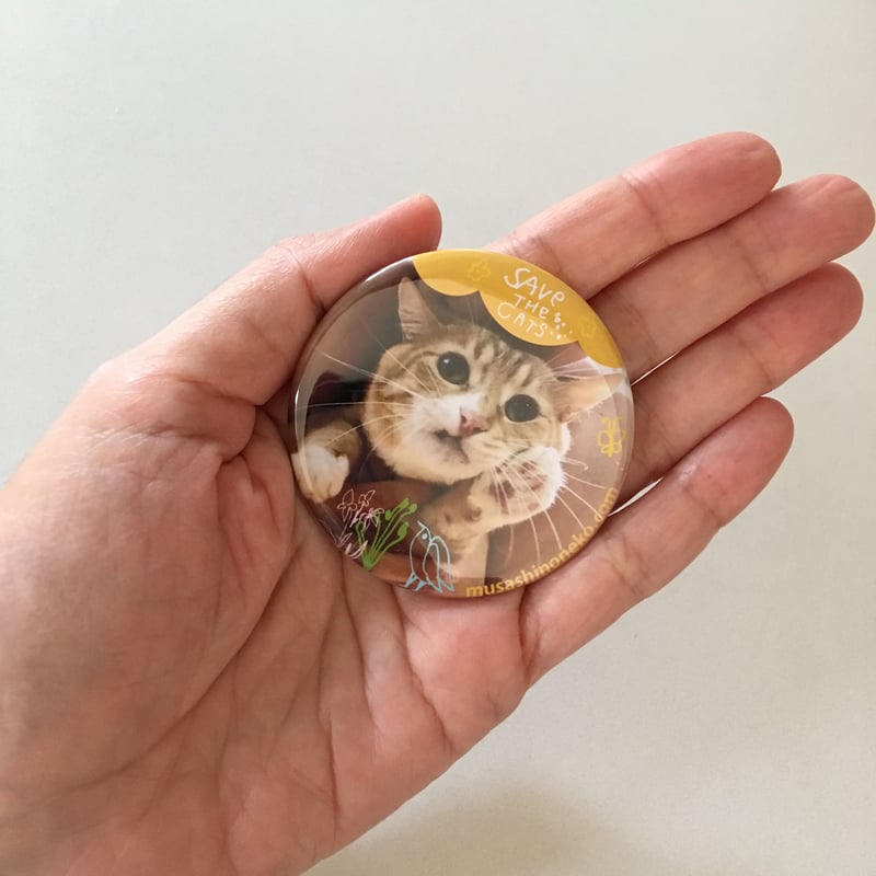 オリジナル缶バッチ☆A | むさしの地域猫の会