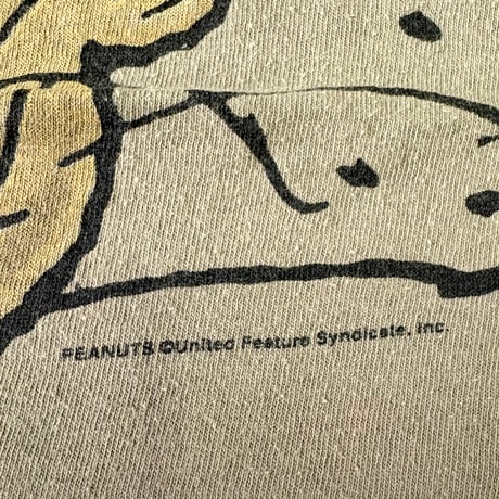 90's Changes "Pigpen" "CK Parody" "両面" Tシャツ XLサイズ USA製