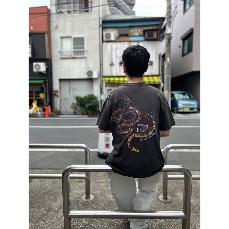 667b86d72cd2e101374f3a03