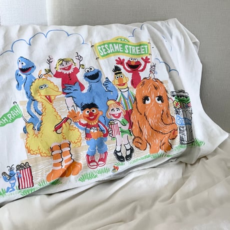 Sesame Street Pillow Case