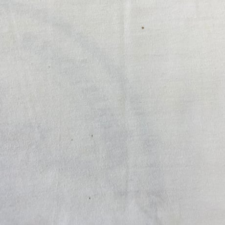～90's Hanes "Columbus 100th" Tシャツ Lサイズ USA製