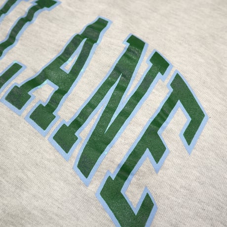 80's〜90's CHAMPION RW SWEAT "W face" "TULANE" XLサイズ USA製