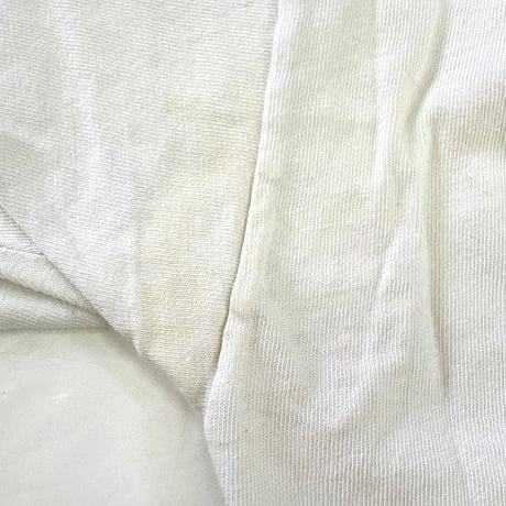 80's～ OLD Banana Republic "Snake" "両面" Tシャツ