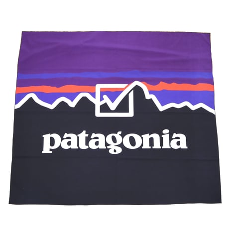 NOS Patagonia Nylon Flag