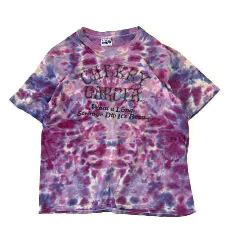 ～90's Hanes "Ben&Jerry's" "Cherry Garcia" Tシャツ XLサイズ USA製