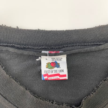 "boro" 80's Fruit of the loom "insect" "両面" Tシャツ Lサイズ USA製