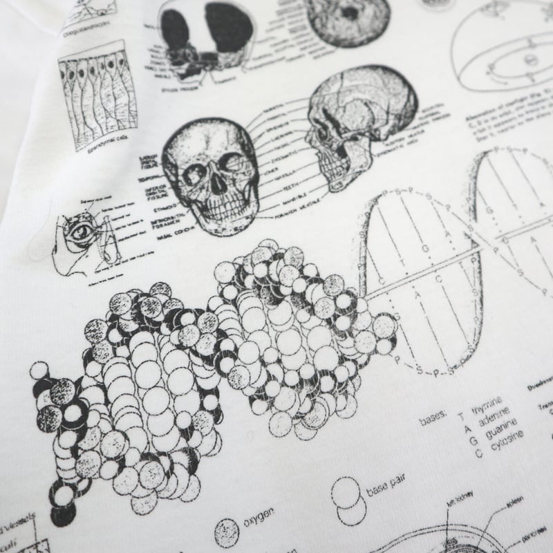 貴重です。一村哲也のオリジナルプリント。当時のものです 楽天市場】◇腕あげたな(縦書)◇日本一に輝いた現代の名工が書く