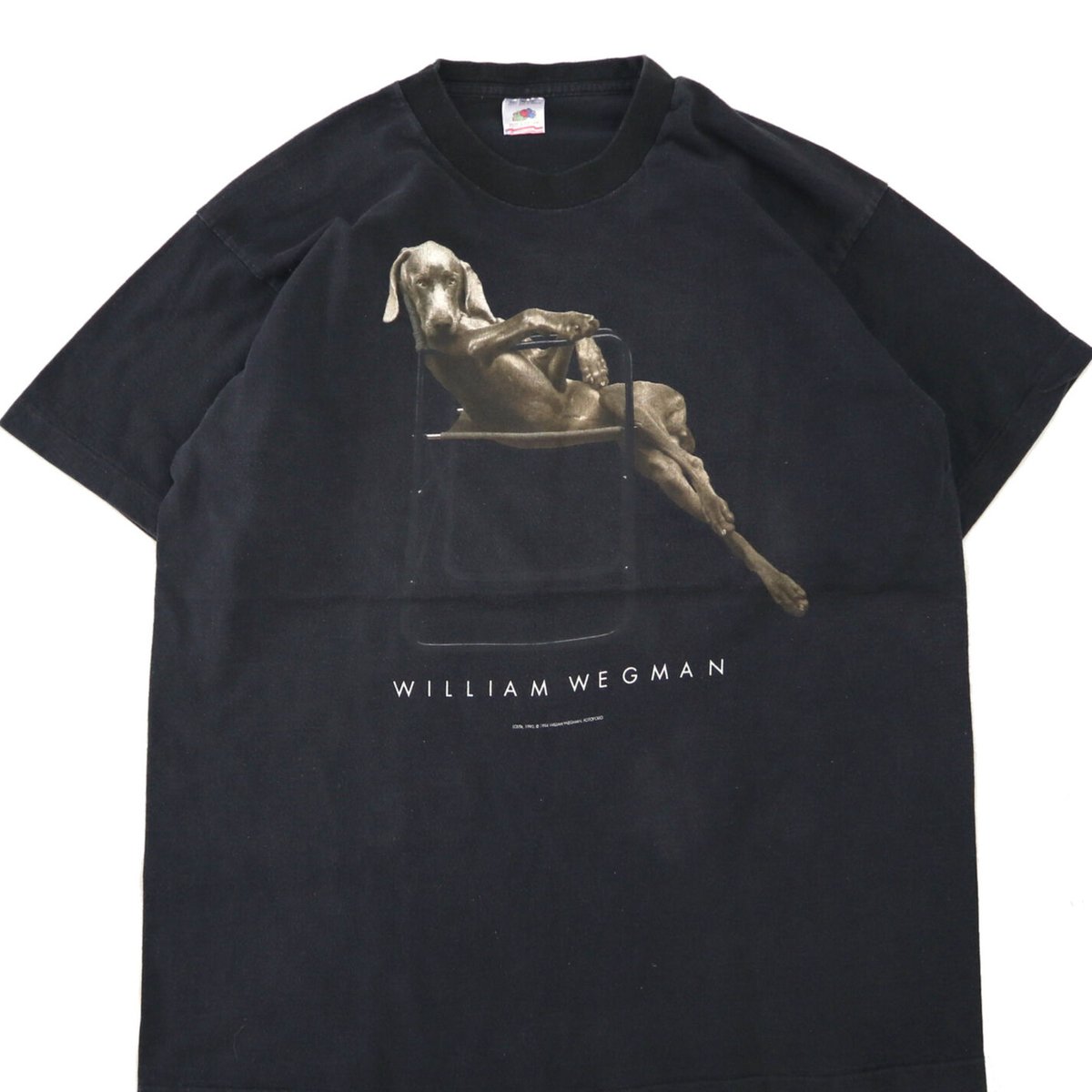 williamwegman ウィリアムウェグマン 90s  tシャツ