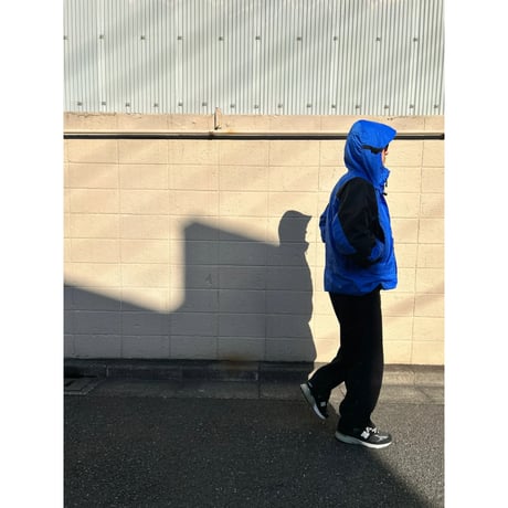 90's THE NORTH FACE Gore-Tex Mountain Guide Jacket Lサイズ USA製