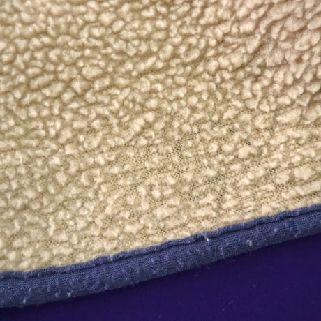 90's Patagonia "雪なし" Retro X Fleece Jacket Mサイズ