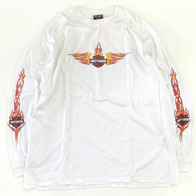 HARLEY-DAVIDSON 00's 長袖tシャツ/ L 希少　バイク　両面 00's Harley Davidson 