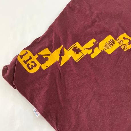 "Rare Print" 70's CHAMPION "Pictogram" Reversible Tee Lサイズ USA製