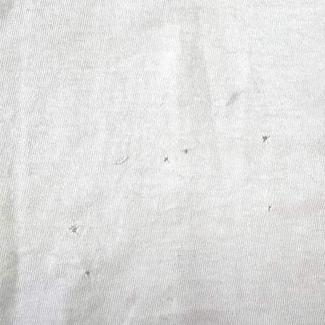 "boro" ～90's Hanes "Beat Texas" "両面" Tシャツ Lサイズ USA製