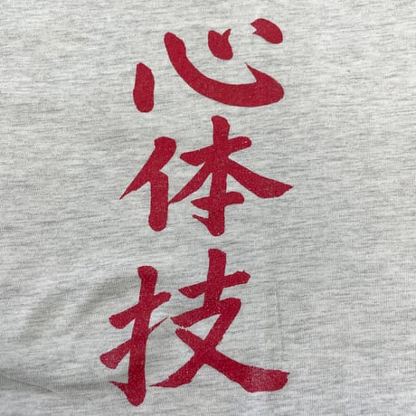 90's Hanes "心体技" Tシャツ XXLサイズ USA製