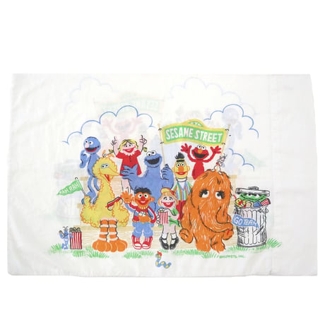 Sesame Street Pillow Case