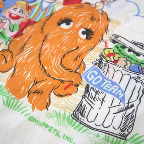 Sesame Street Pillow Case