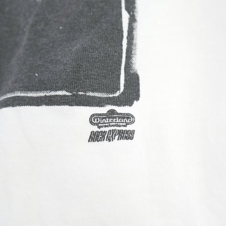 90's BEASTIE BOYS "CHECK YOUR HEAD" 両面&袖 プリント LS Tシャツ