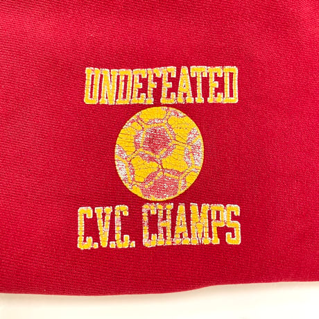 80's CHAMPION RW SWEAT PARKA "Pirates" "両面" "3段" Lサイズ USA製