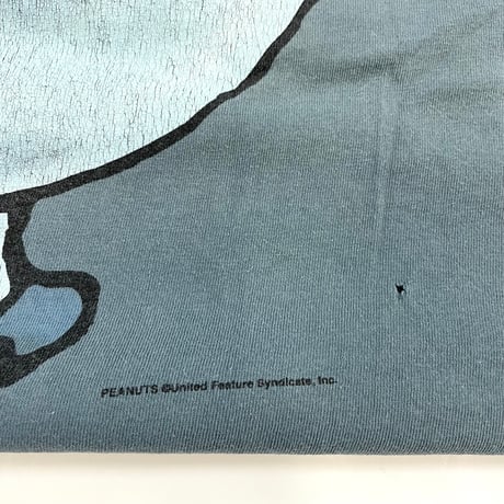 90's Changes "Charlie Brown" "CK Parody" 両面 プリント Tシャツ XLサイズ USA製