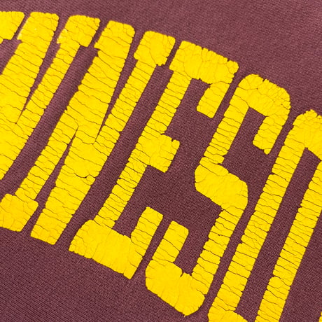 90's CHAMPION RW SWEAT "MINNESOTA" XLサイズ USA製