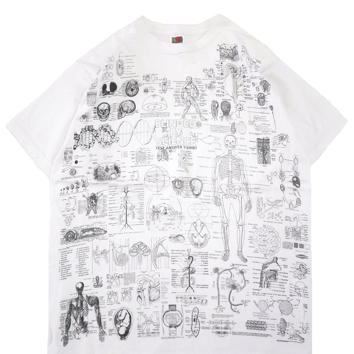 BLINDED BY SCIENCE Tシャツ90sヴィンテージ・アートTシャツ 00s Fruit of the loom 