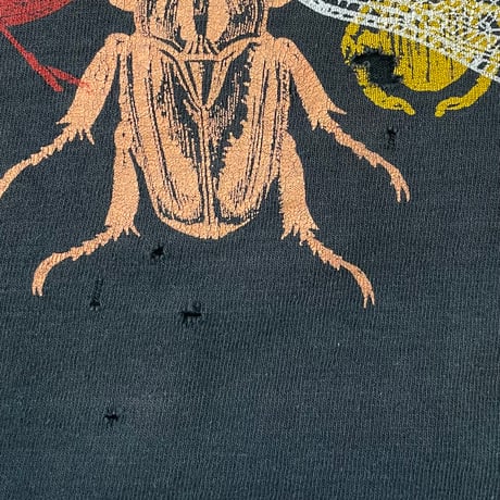 "boro" 80's Fruit of the loom "insect" "両面" Tシャツ Lサイズ USA製