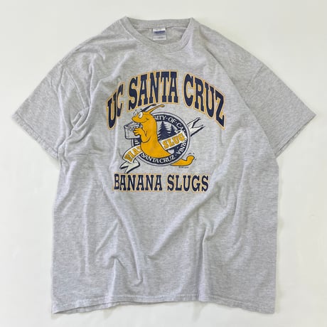 90's～00's Gildan "UC SANTA CRUZ" Tシャツ XLサイズ