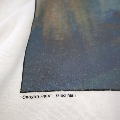 80's～90's Hanes "Ed Mell" "GRAND CANYON" プリント Tシャツ XLサイズ USA製