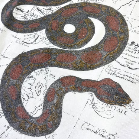 80's～ OLD Banana Republic "Snake" "両面" Tシャツ
