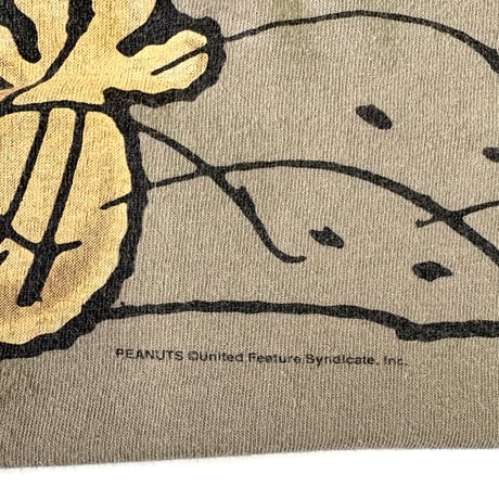 90's Changes "Pigpen" "CK Parody" "両面" Tシャツ Lサイズ USA製