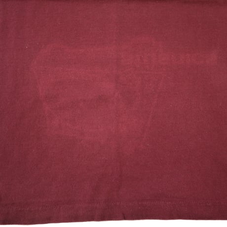 90's OLD STUSSY 白タグ "stusnics" Tシャツ Lサイズ USA製
