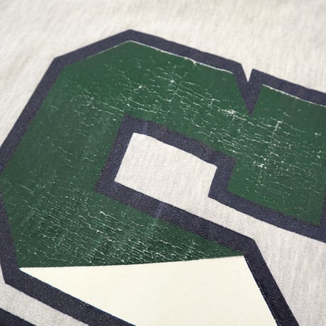 90's CHAMPION RW SWEAT "MICHIGAN STATE" 両面 プリント Lサイズ USA製