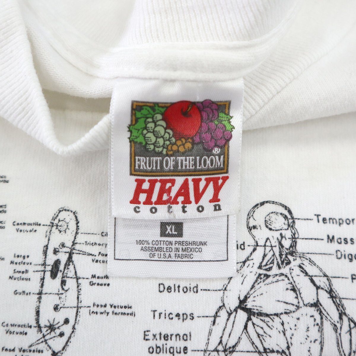 00s Fruit of the loom 