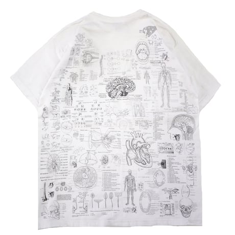 ～'00s Fruit of the loom "BLINDED BY SCIENCE" 両面 プリント Tシャツ XLサイズ