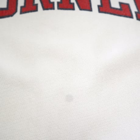 90's CHAMPION RW SWEAT "CORNELL" "Water Print" Lサイズ USA製