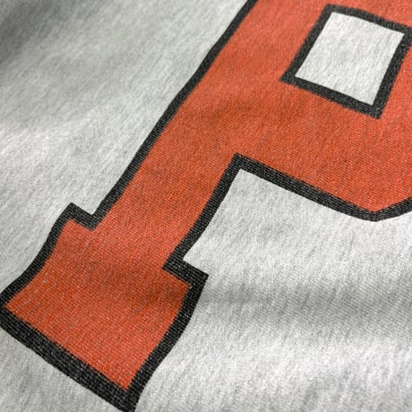 90's CHAMPION RW SWEAT "PRINCETON" "Water Print" Lサイズ USA製