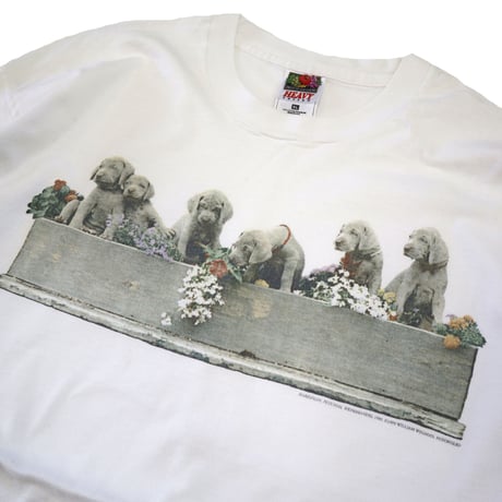90's Fruit of the loom "William Wegman" プリント Tシャツ XLサイズ USA製